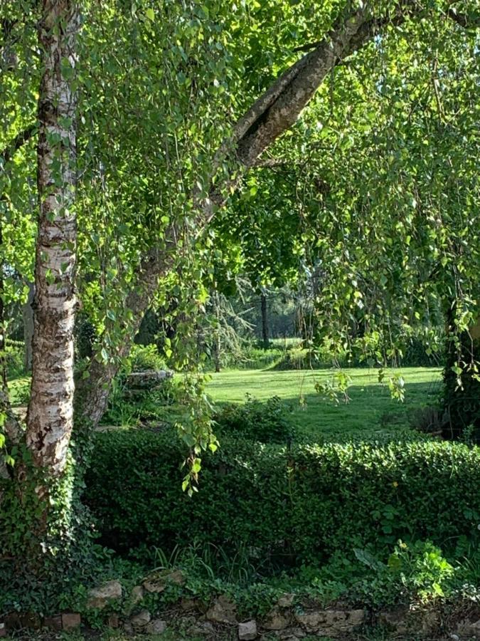 Moulin De Champrond -Montmirail -Sarthe住宿加早餐旅馆 外观 照片