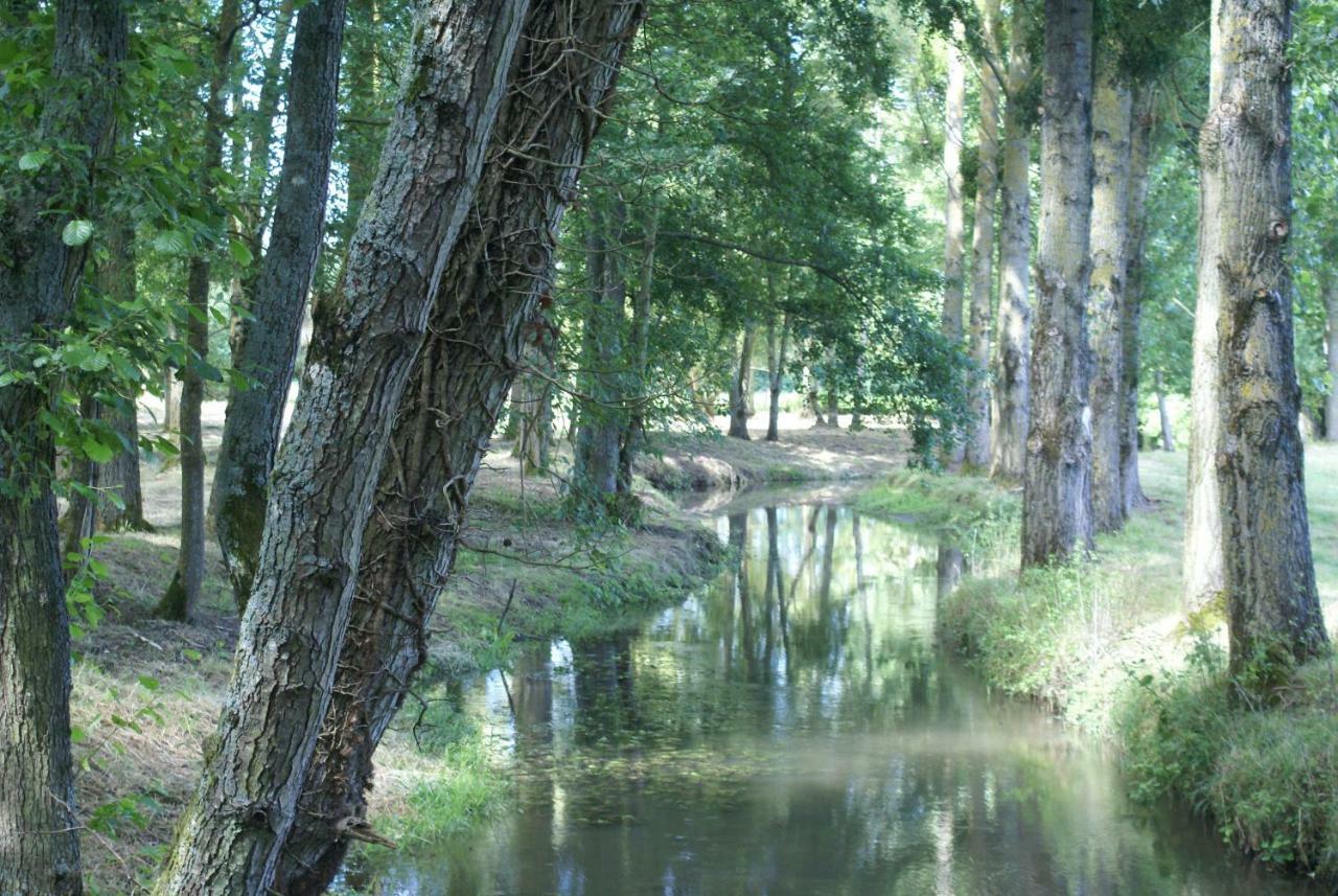 Moulin De Champrond -Montmirail -Sarthe住宿加早餐旅馆 外观 照片