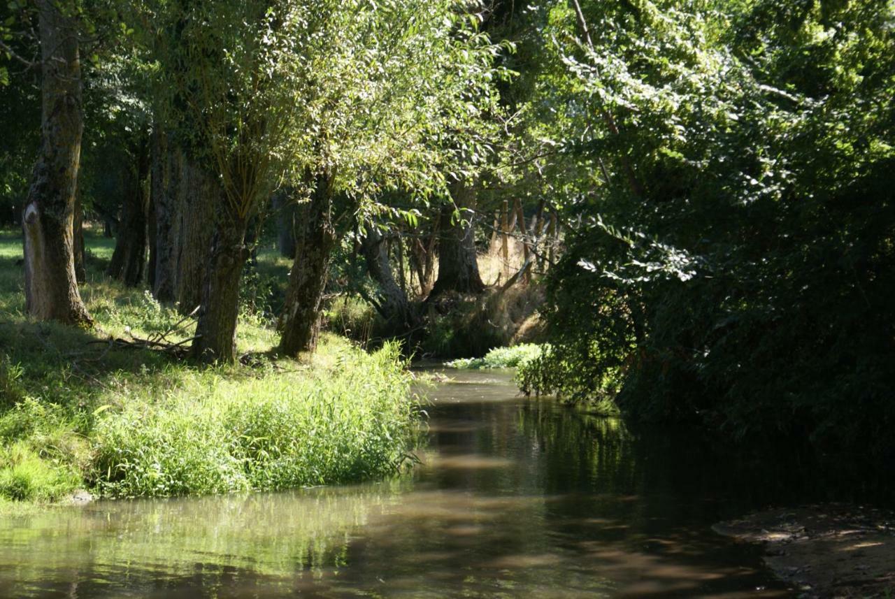 Moulin De Champrond -Montmirail -Sarthe住宿加早餐旅馆 外观 照片